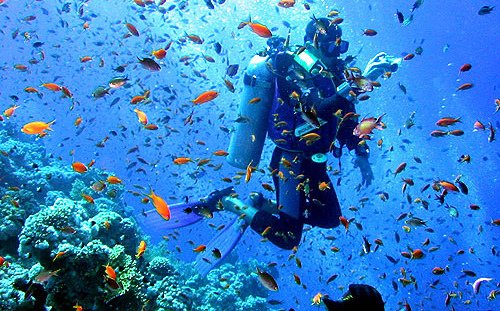 Havelock Island, Andaman Best Place for Scuba Diving in India