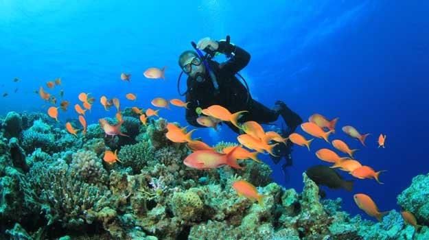 Kadmat Islands, Lakshadweep scuba diving destination in India