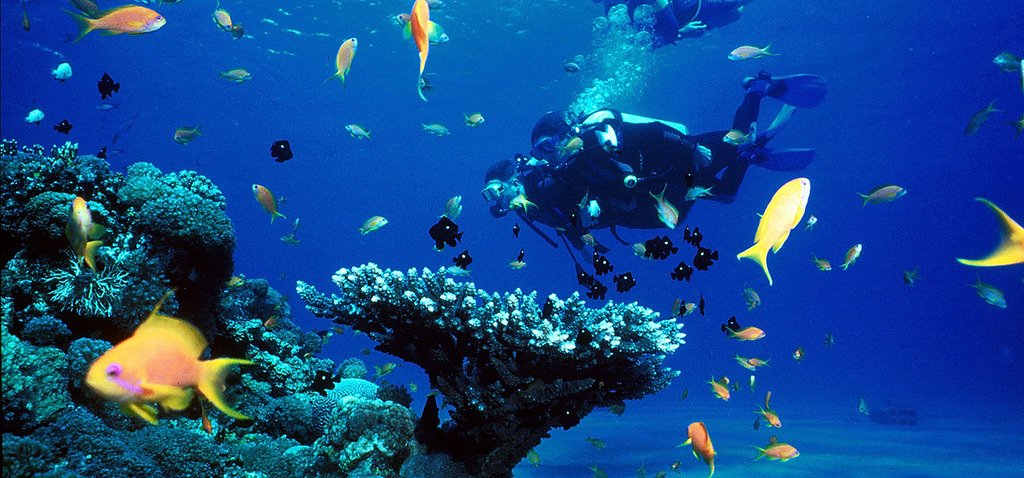 Tarkarli , Sindudurg Best Place for Scuba Diving in India