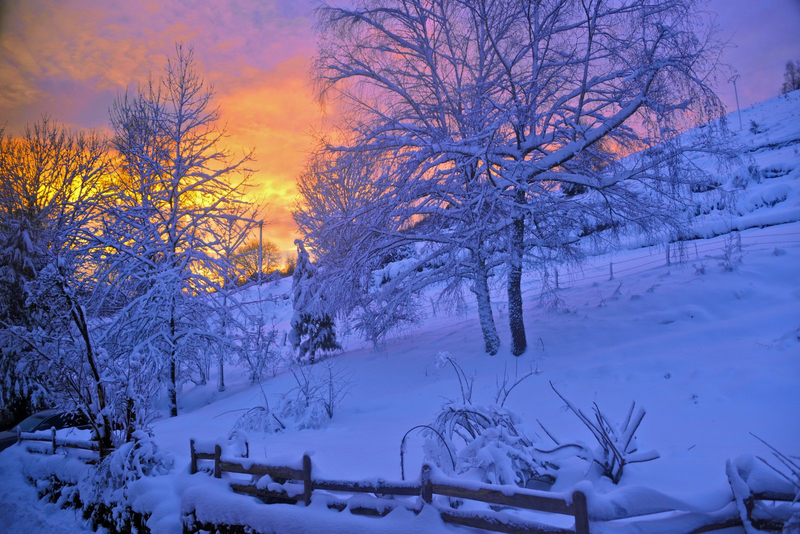 Christmas with snowfall in Shimla